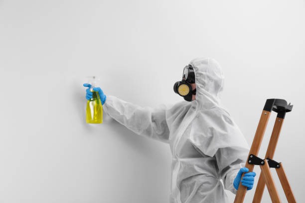 Best Emergency Mold Remediation  in USA